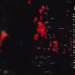 pexels-markusspiske-3970329